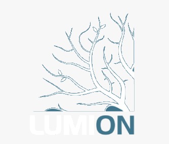 Lumion